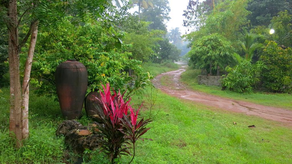 Clayfingers Art Cottage Thrissur 객실 사진