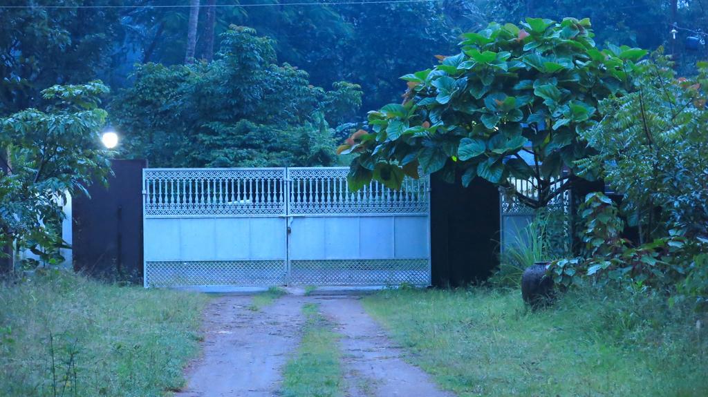 Clayfingers Art Cottage Thrissur 객실 사진
