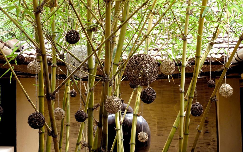 Clayfingers Art Cottage Thrissur 외부 사진