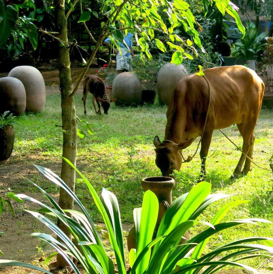 Clayfingers Art Cottage Thrissur 외부 사진