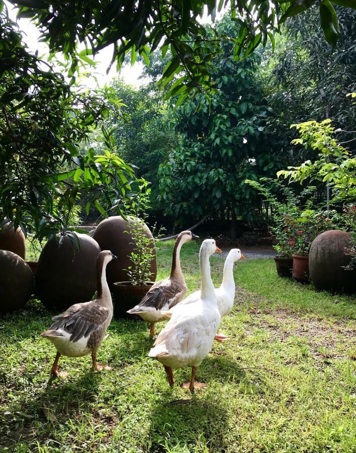 Clayfingers Art Cottage Thrissur 외부 사진